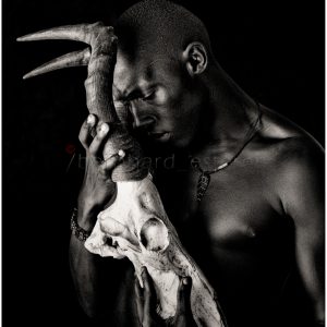 APHIWE / HARDEBEEST