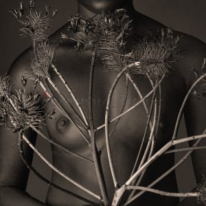 NTADIA