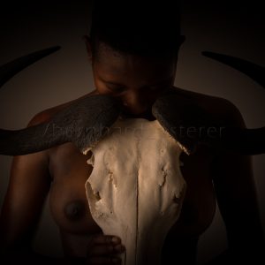 AMANZI / WILDEBEEST