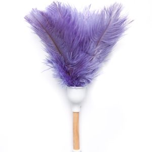 OSTRICH FEATHER DUSTER