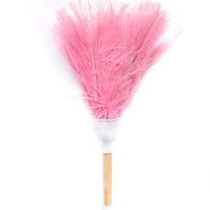 OSTRICH FEATHER DUSTER