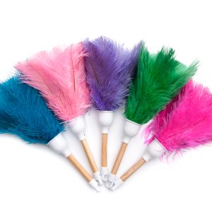 Ostrich Feather Duster