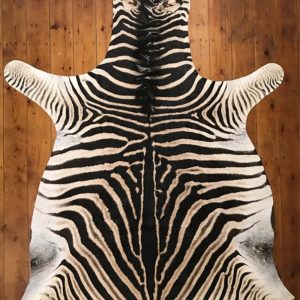 PREMIUM ZEBRA SKINS
