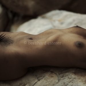 IZIKHWILI ZE-PORCUPINE / Acrylic/Perspex Print