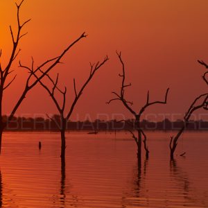 SHADOWS OVER AFRICA / Kariba 1