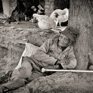A Rural Pause