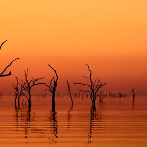 SHADOWS OVER AFRICA / Kariba III